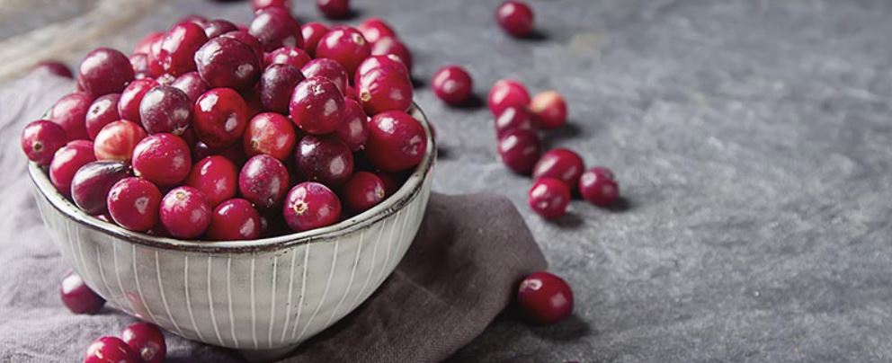 CISTITUS Cranberry