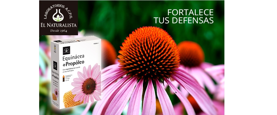 Echinacea and Propolis food supplement defenses