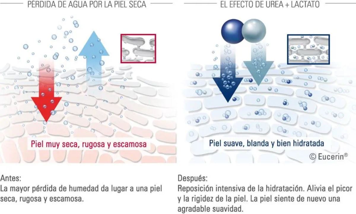 EUCERIN Urea Repair Action