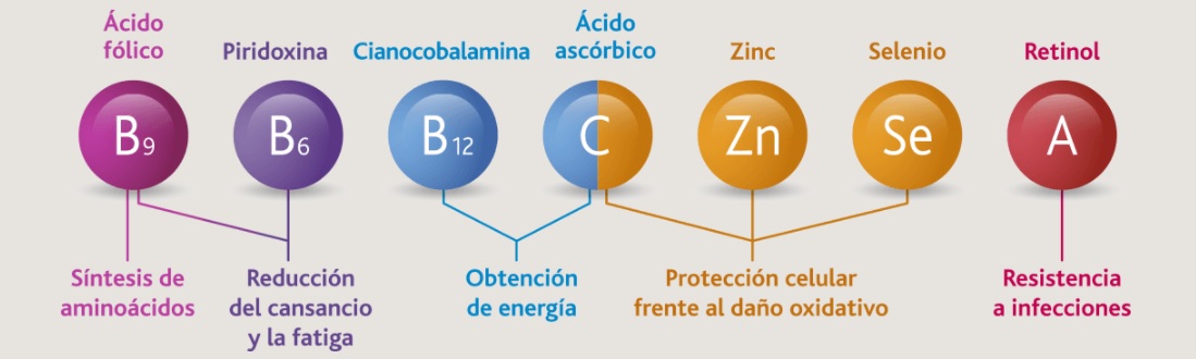 Lactoflora protector Inmunitario Adultos