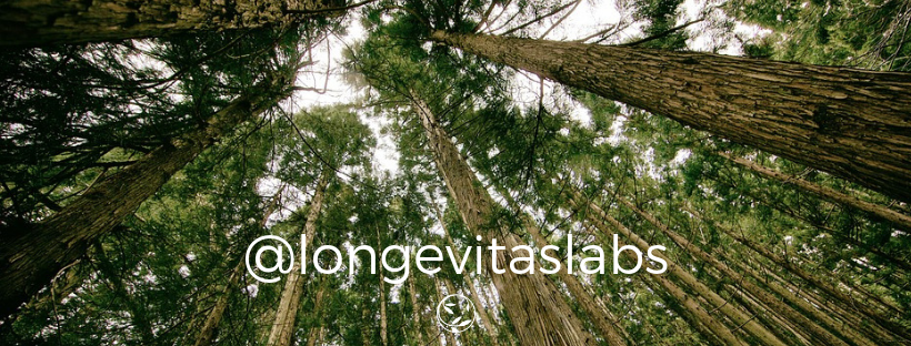 LONGEVITAS Ofertas