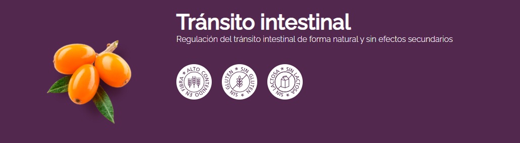 Vitae Itestvita transit