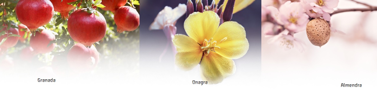 Weleda Ingredientes