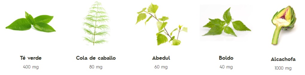 Ingredienti degli stick solubili Aquilea Detox + Bruciagrassi