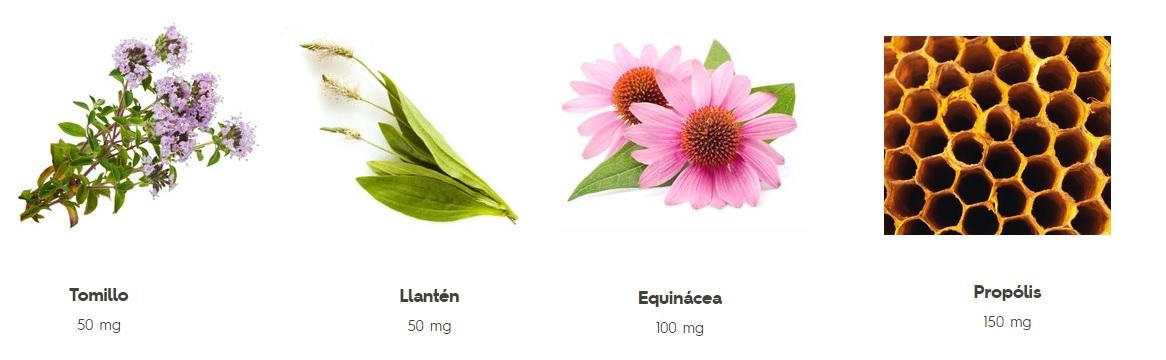 AQUILEA Kids Propolis Zusammensetzung