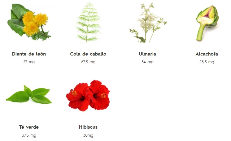 Ingredients of Aquilea Fat Burner Soluble Sitcks