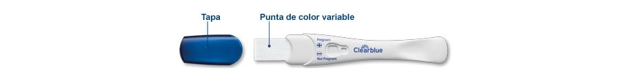 Clearblue instrucciones de test de embarazo