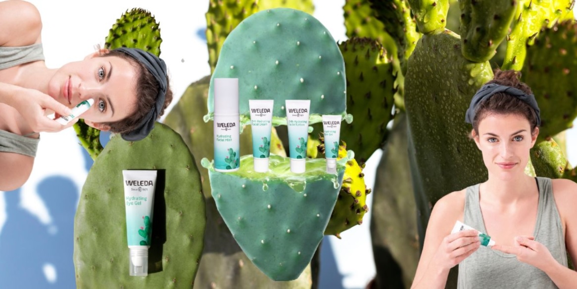 Weleda HydraMist Spray viso idratante con estratto di cactus BIO