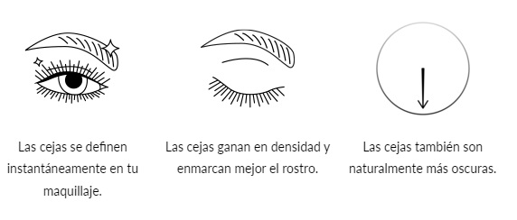 Talika Eyebrow Lipocils Ink Marrón
